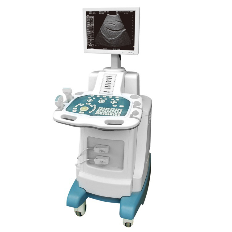  Ultrasound