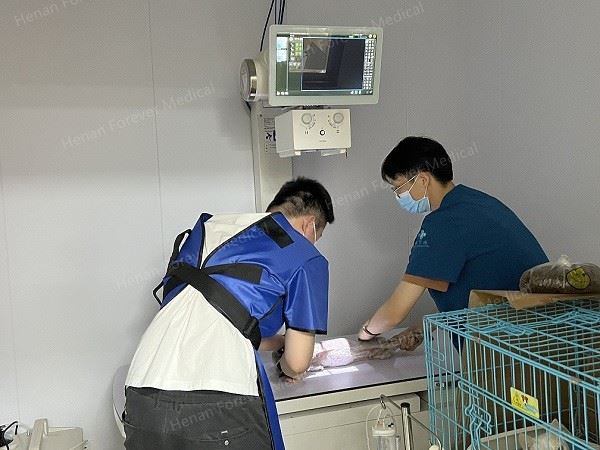 32KW Veterinary DR X Ray Machine high quality