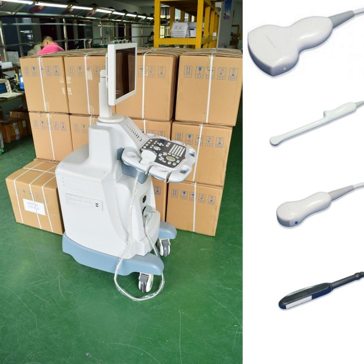B-Ultrasound Scanner package