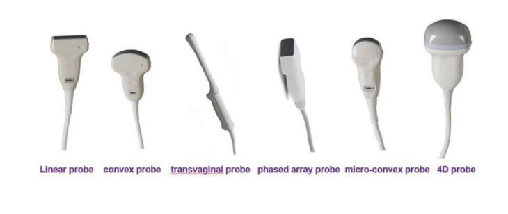 China Ultrasound Transducer 4D Ultrasound Transducer