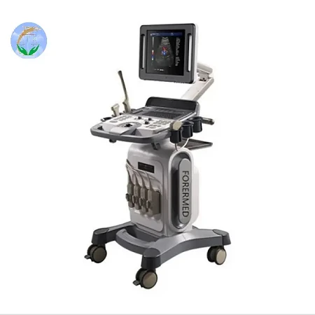 4d Color Doppler Ultrasound 4d Color Doppler Ultrasound